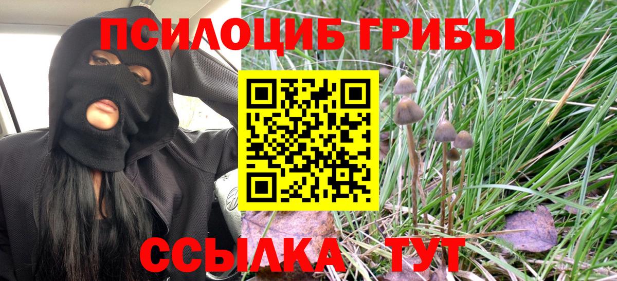 Каменка  Галлюциногенные грибы мицелий  Вход с VPN 